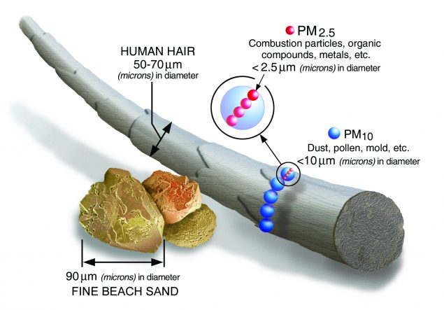 human-hair PM stands for particulate matter (also called particle pollution).